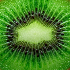 vitamin c