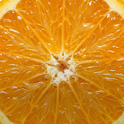 hyaluronsäure