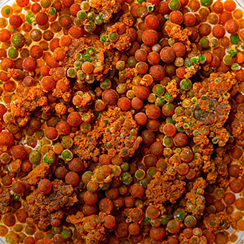 astaxanthin
